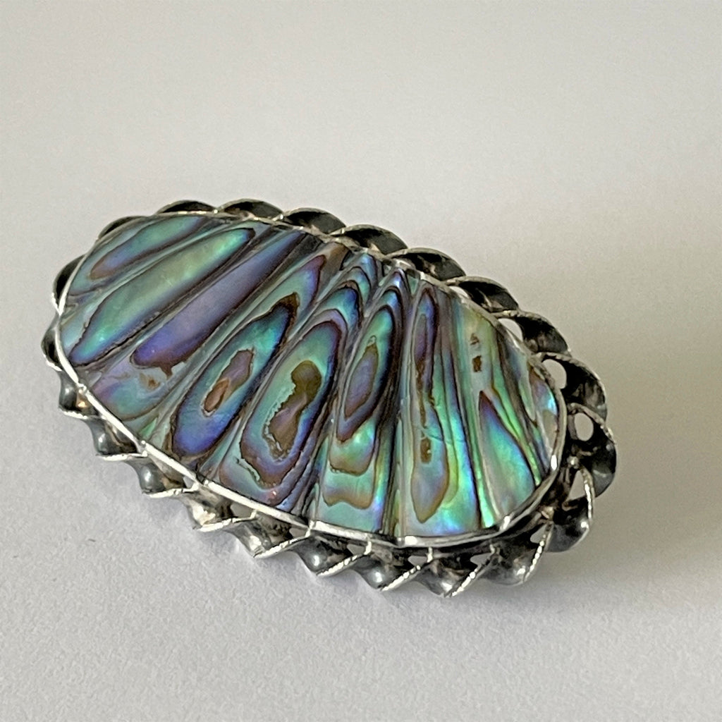 Shell brooch online