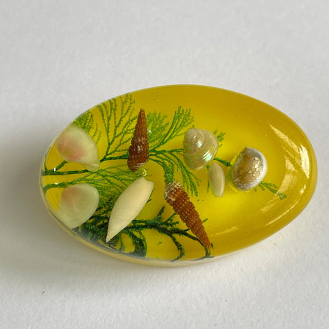 Mid Century Resin Under The Sea Brooch-Vintageonline-Vintage Online